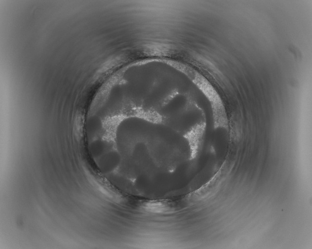 X0000111050171200907161412