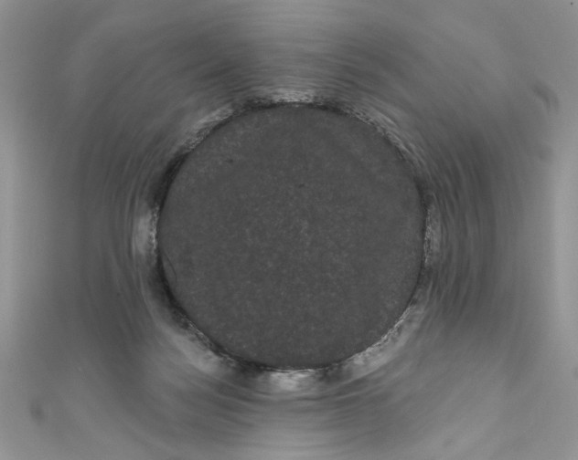 X0000111050172200907161412