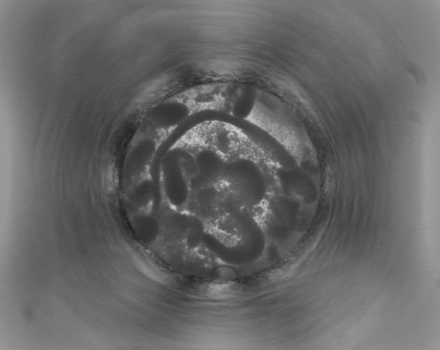 X0000111050173200907161412