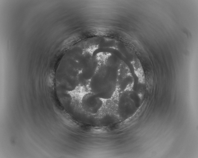 X0000111050175200907161412