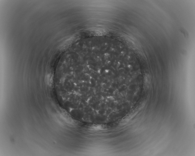 X0000111050177200907161412