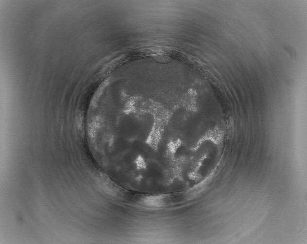 X0000111050178200907161412