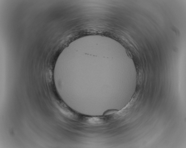 X0000111050183200907161412