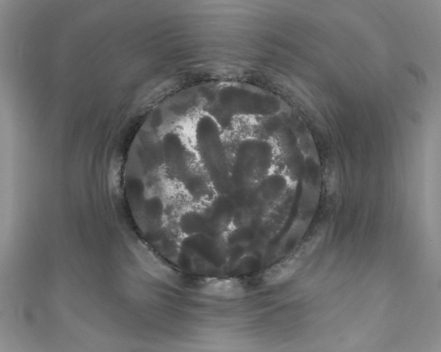 X0000111050185200907161412