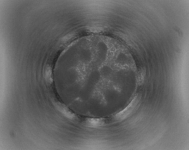 X0000111050187200907161412