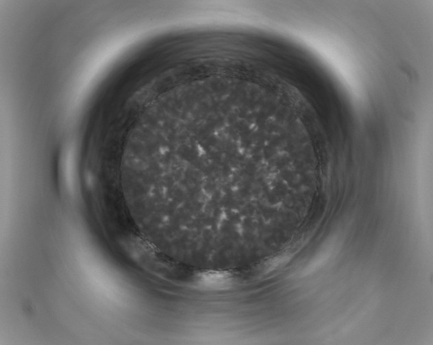 X0000111050189200907161412