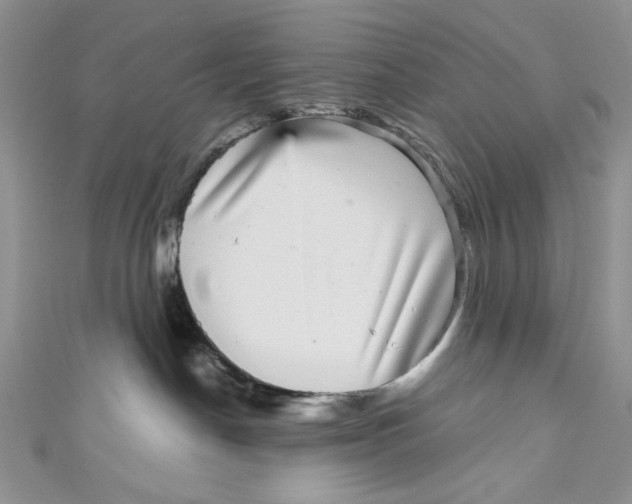 X0000111050190200907161412