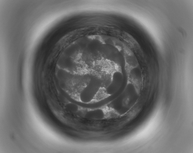 X0000111050191200907161412