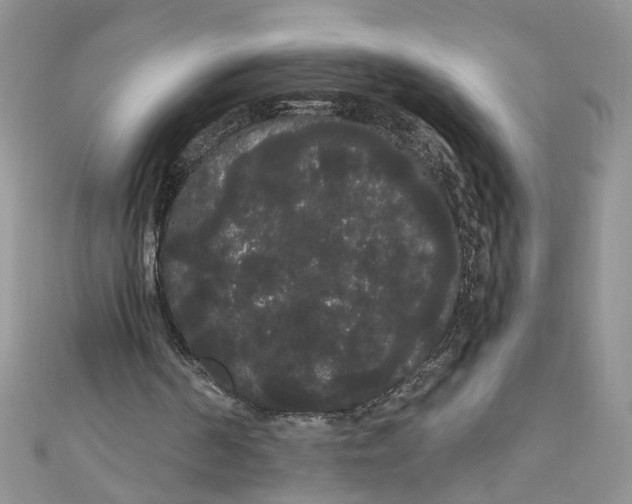 X0000111050194200907161412