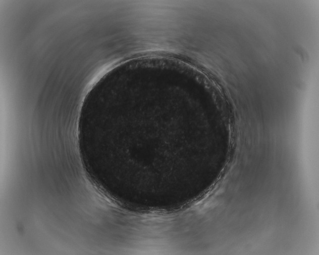 X0000111050196200907161412