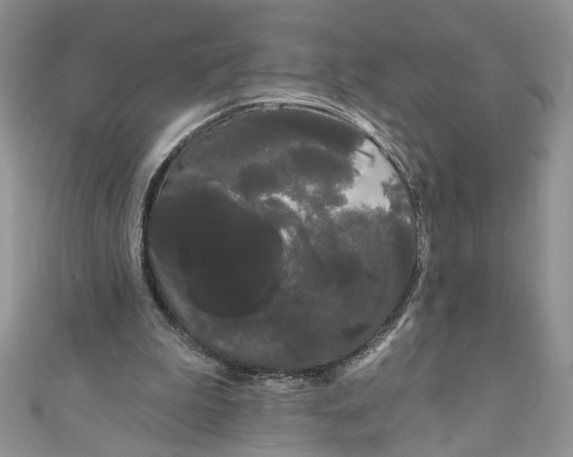 X0000111050199200907161412