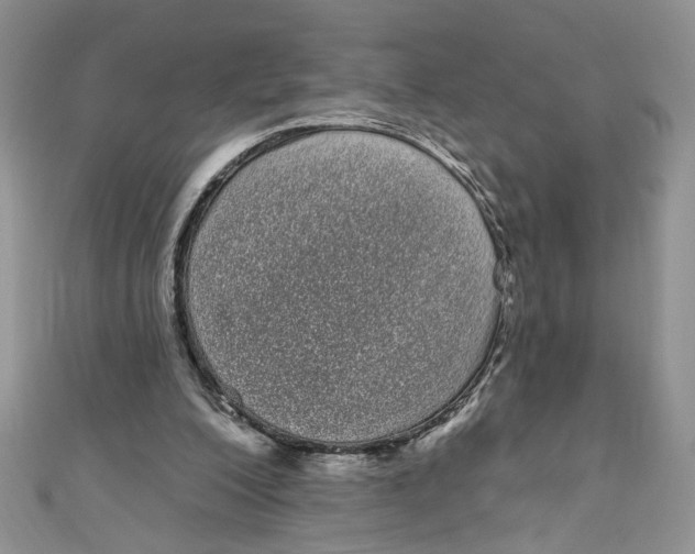 X0000111050200200907161412