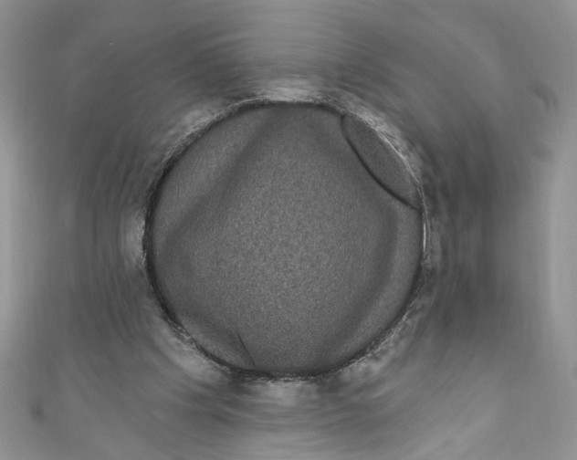 X0000111050201200907161412