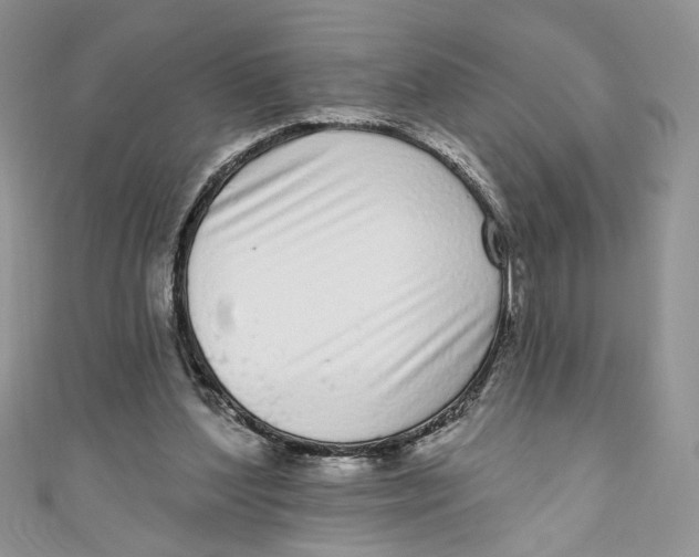 X0000111050204200907161412