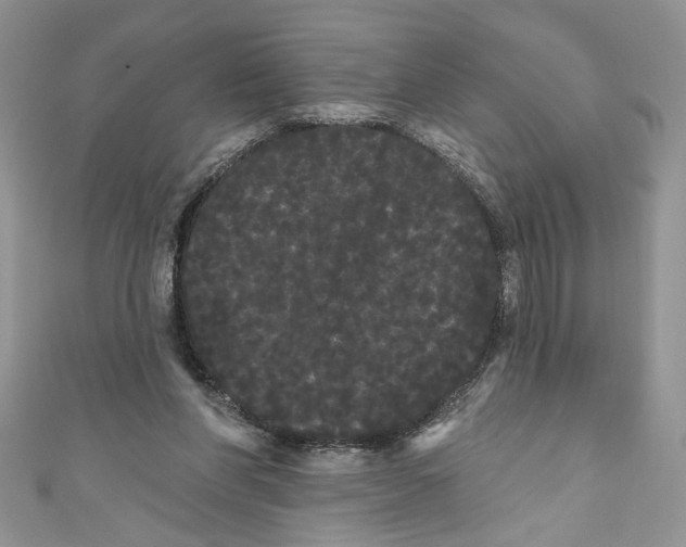 X0000111050206200907161412