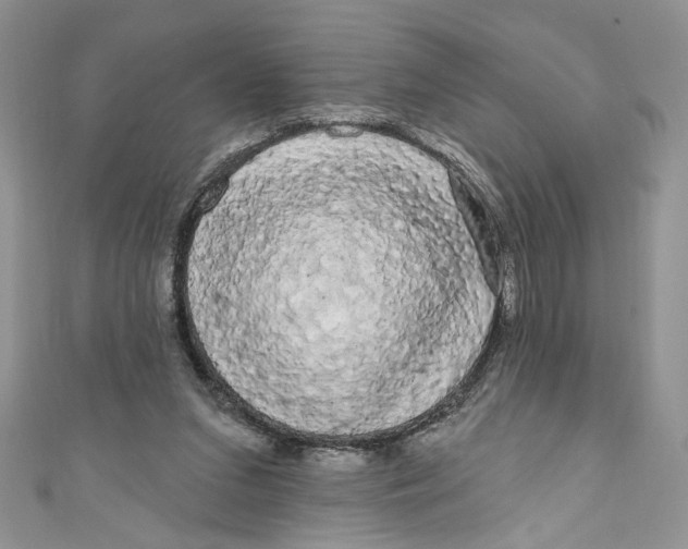 X0000111050207200907161412