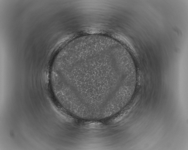 X0000111050210200907161412