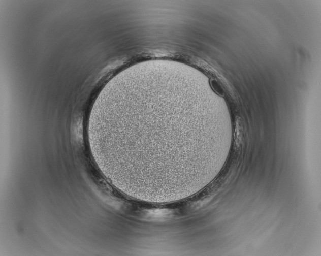 X0000111050212200907161412