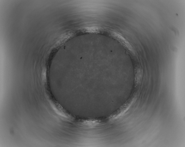 X0000111050213200907161412