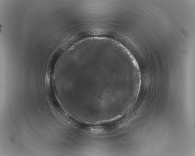 X0000111050214200907161412