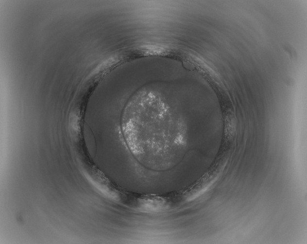 X0000111050215200907161412