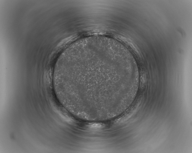 X0000111050218200907161412