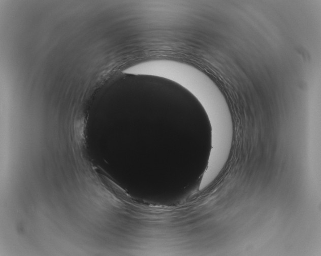 X0000111050219200907161412