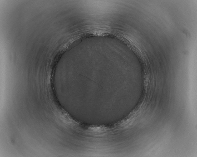 X0000111050221200907161411