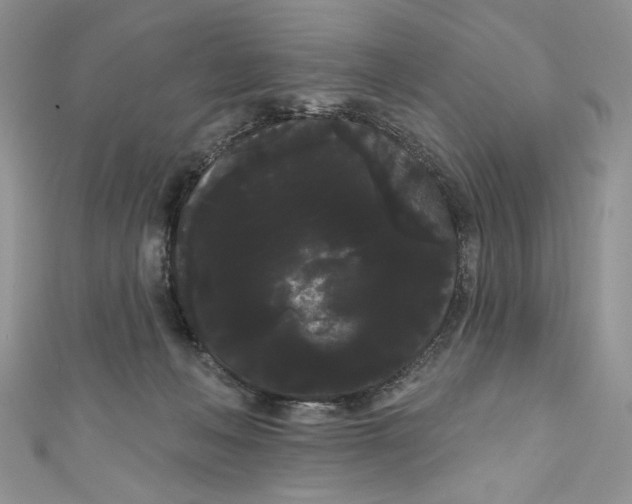 X0000111050222200907161411