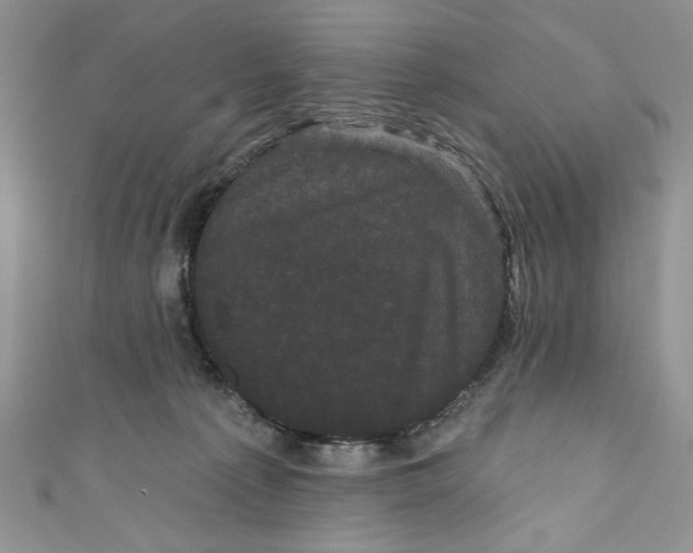 X0000111050225200907161411