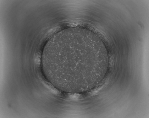 X0000111050226200907161411