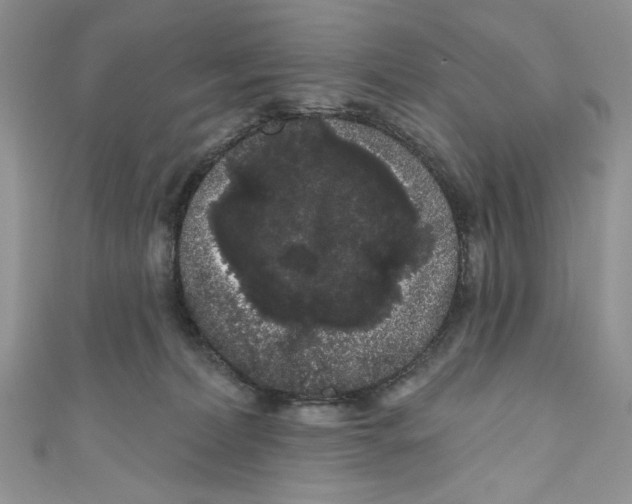 X0000111050228200907161411