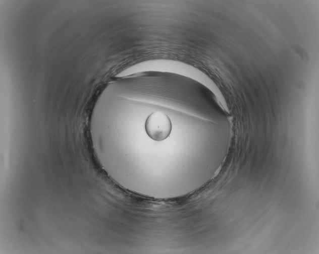 X0000111050229200907161411