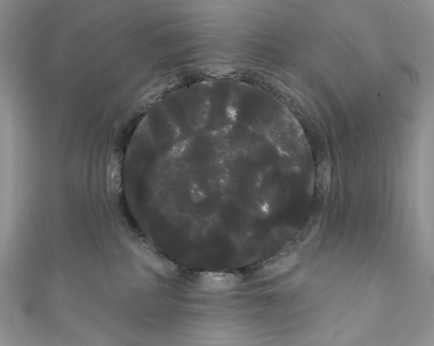 X0000111050234200907161411