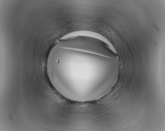 X0000111050235200907161411