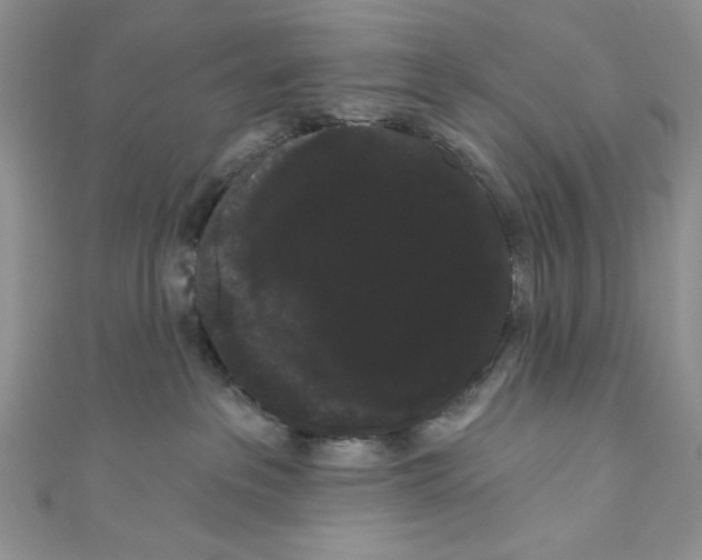 X0000111050237200907161411