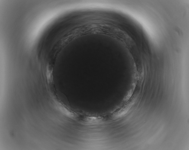 X0000111050239200907161411