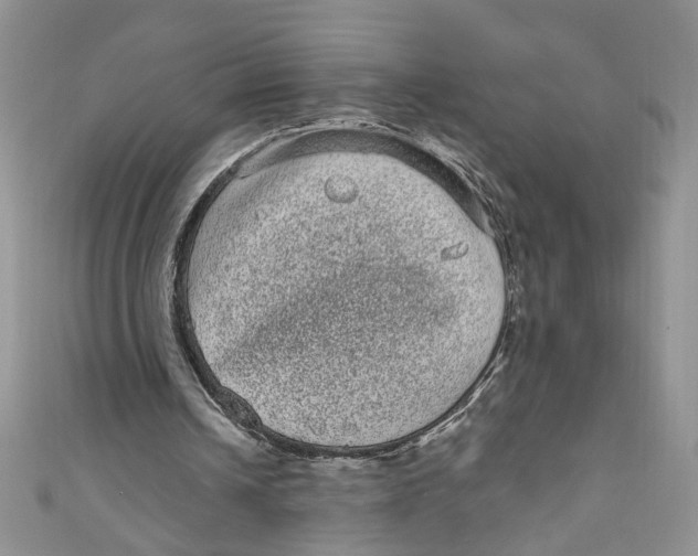 X0000111050242200907161411