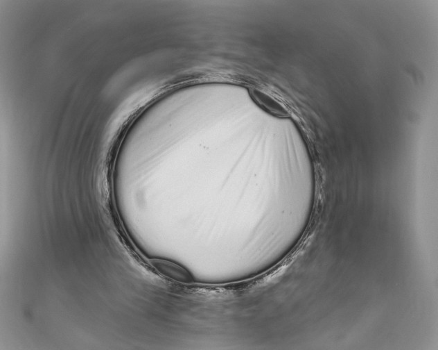 X0000111050245200907161411