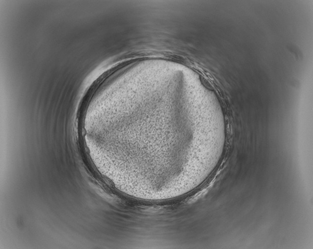 X0000111050246200907161411