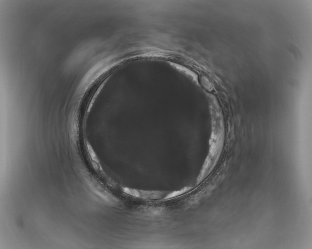 X0000111050247200907161411