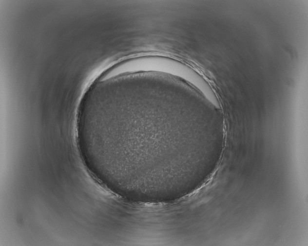 X0000111050248200907161411