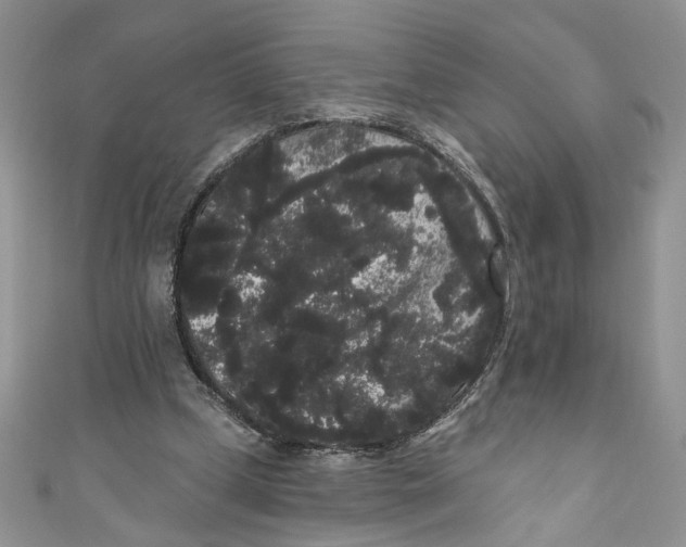 X0000111050249200907161411