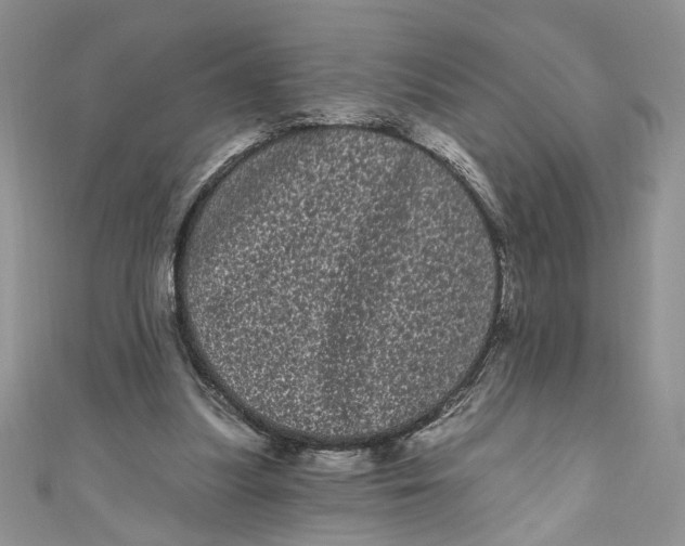 X0000111050251200907161411