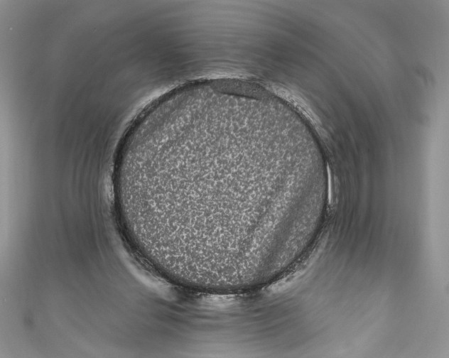 X0000111050252200907161411