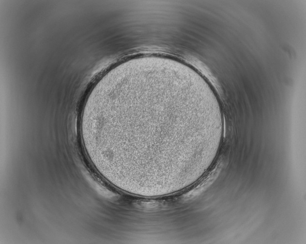 X0000111050253200907161411