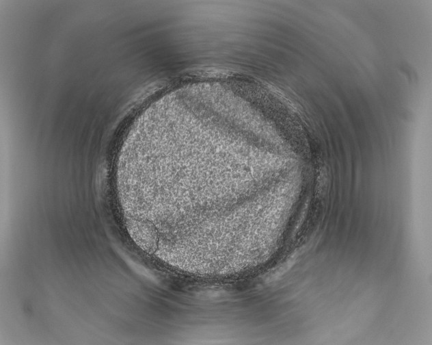 X0000111050254200907161411