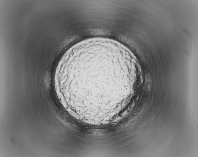 X0000111050255200907161411