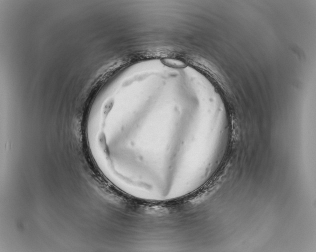 X0000111050258200907161411