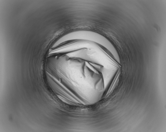 X0000111050260200907161411